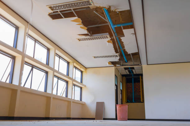 Best Residential water damage restoration  in Uniondale, NY