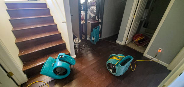 Best 24-hour water damage restoration  in Uniondale, NY