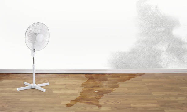Water damage restoration process in Uniondale, NY