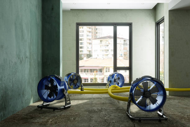 Best 24/7 water damage repair  in Uniondale, NY