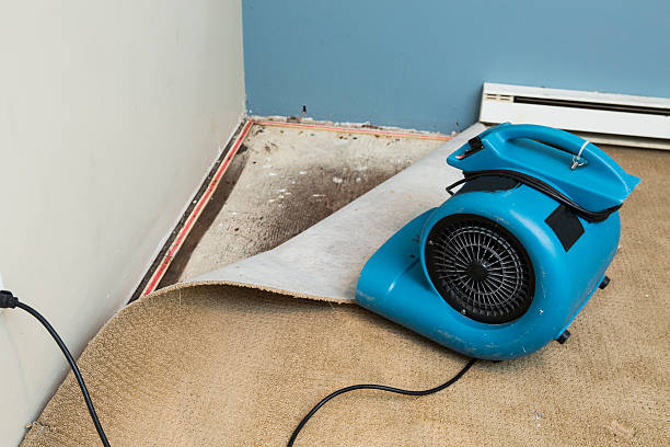 Uniondale, NY Water damage restoration Company